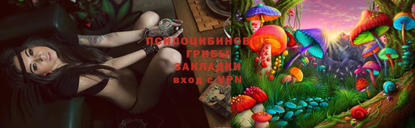 метадон Армянск