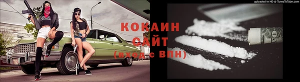 спайс Арсеньев