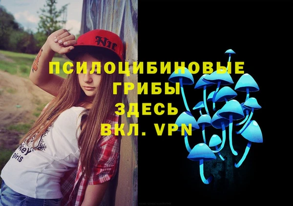 спайс Арсеньев
