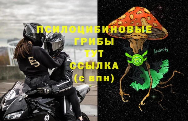 спайс Арсеньев