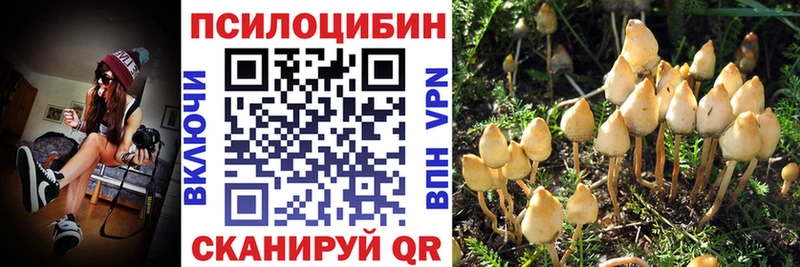 Псилоцибиновые грибы Psilocybe  kraken tor  Дыгулыбгей 